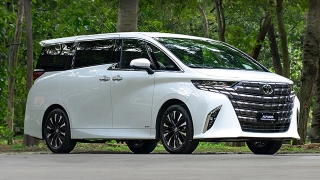 Toyota Alphard Primary